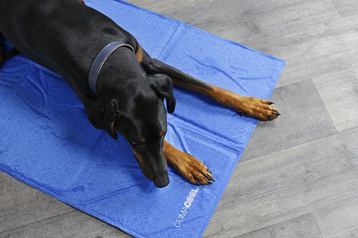 The Science Behind Dog Cooling Mats: Effectiveness Explained