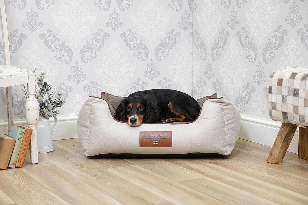 Best Dog Beds for Small and Medium Dogs: Ultimate Comfort Guide