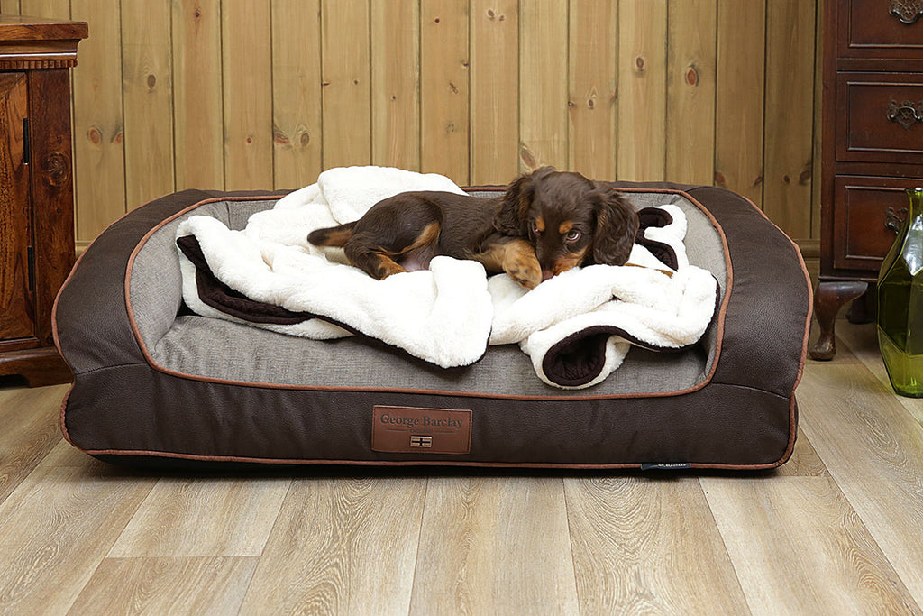 Puppy Sleeping Behaviours: Do Puppies Like Sleeping in Dog Beds?