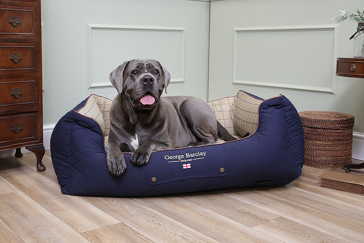 Best place for dog beds hotsell