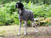 Dog Drying Coat by MuttMOP® (Grey)