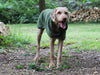 Dog Drying Coat by MuttMOP® (Olive)