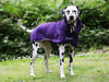 Dog Drying Coat by MuttMOP® (Plum)